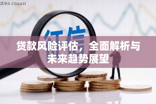 抚远贷款风险评估，全面解析与未来趋势展望