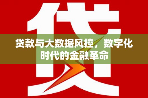 岳塘贷款与大数据风控，数字化时代的金融革命
