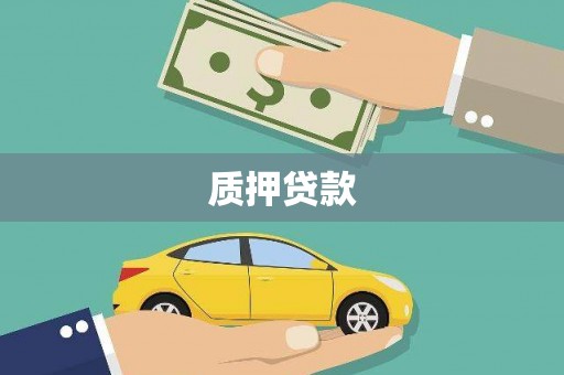 汉阳质押贷款