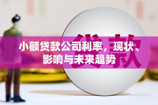 三角小额贷款公司利率，现状、影响与未来趋势