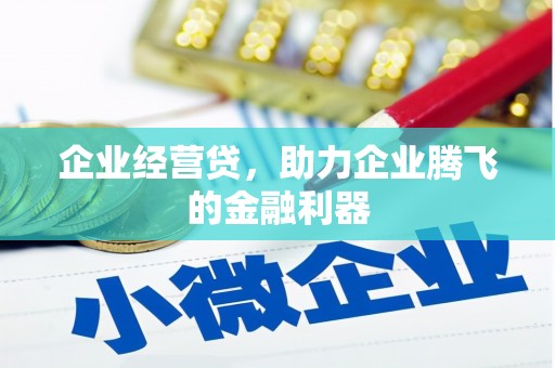 阿巴嘎旗企业经营贷，助力企业腾飞的金融利器