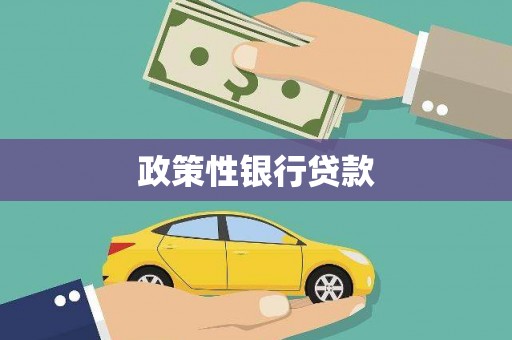 永宁政策性银行贷款
