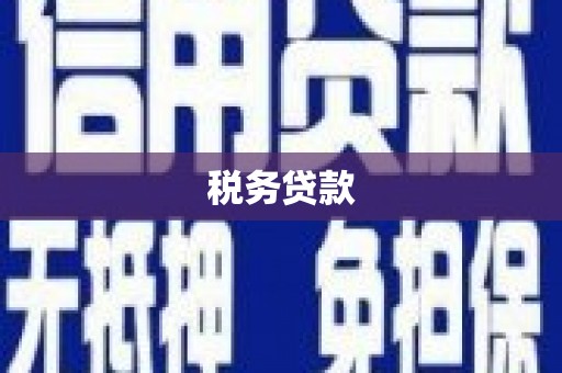 白银税务贷款