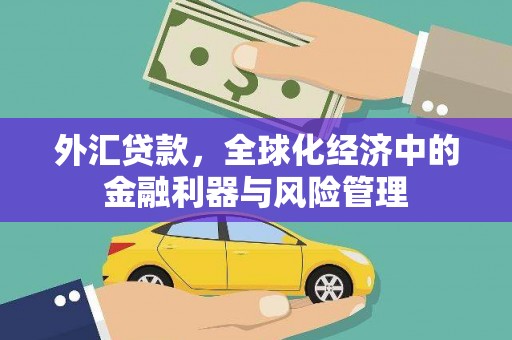 安县外汇贷款，全球化经济中的金融利器与风险管理