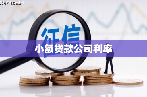 江阴小额贷款公司利率