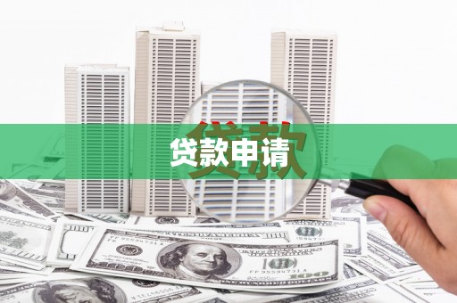 新园贷款申请