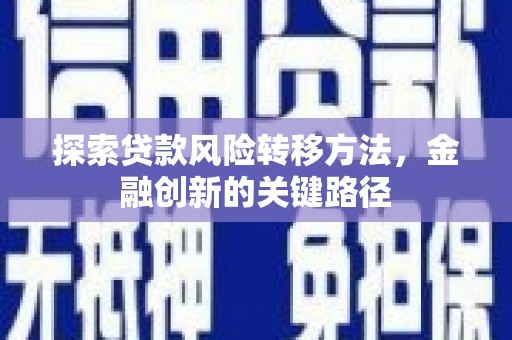 叶县探索贷款风险转移方法，金融创新的关键路径