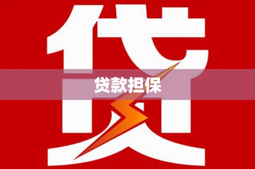 新都贷款担保