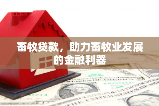 虎林畜牧贷款，助力畜牧业发展的金融利器