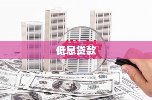 柳南低息贷款