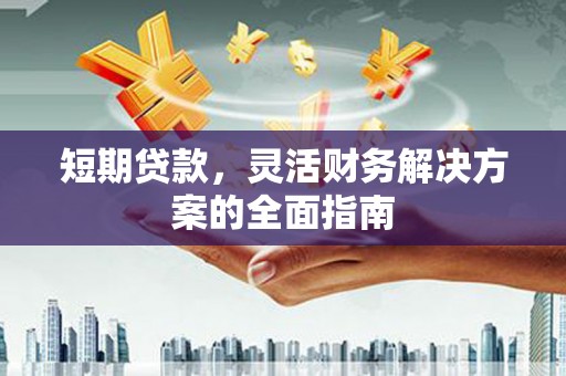 海东短期贷款，灵活财务解决方案的全面指南