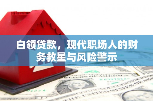 云龙白领贷款，现代职场人的财务救星与风险警示