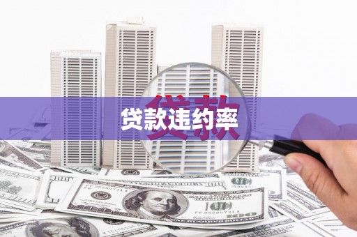 巴里坤贷款违约率