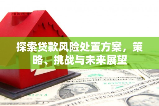 商州探索贷款风险处置方案，策略、挑战与未来展望