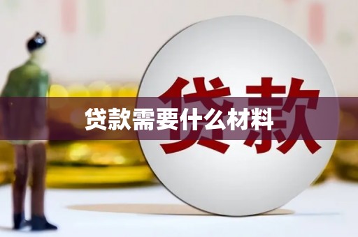 中正贷款需要什么材料