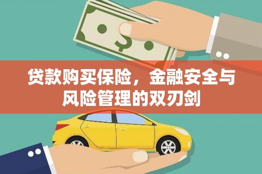 林园贷款购买保险，金融安全与风险管理的双刃剑