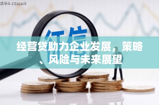 惠济经营贷助力企业发展，策略、风险与未来展望