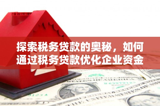 普湾新区探索税务贷款的奥秘，如何通过税务贷款优化企业资金流