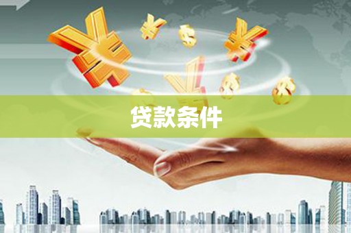 玛家贷款条件