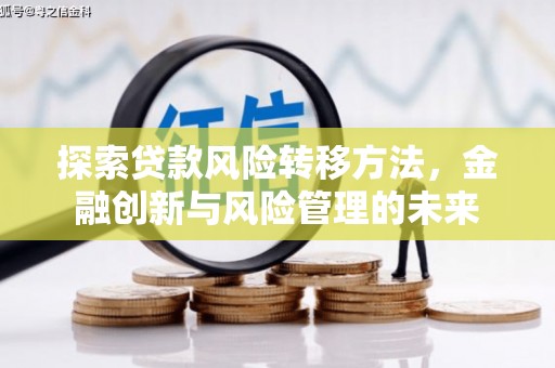 新界探索贷款风险转移方法，金融创新与风险管理的未来