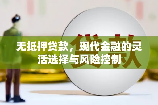 江东无抵押贷款，现代金融的灵活选择与风险控制