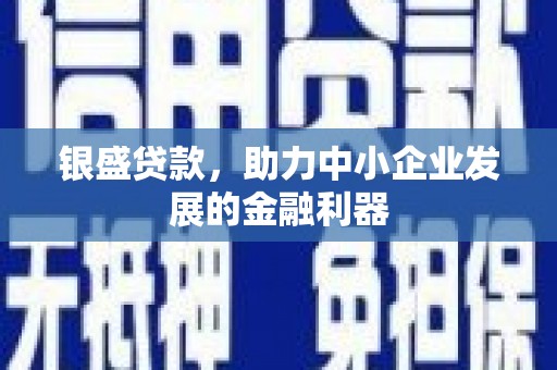 武鸣银盛贷款，助力中小企业发展的金融利器