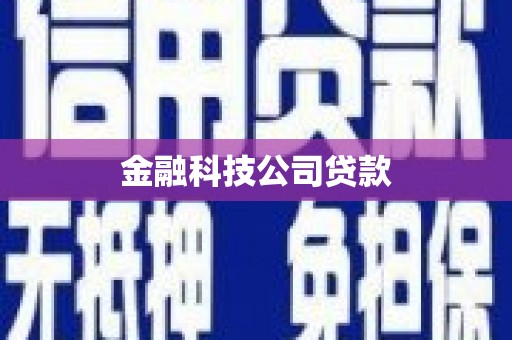 山阴金融科技公司贷款