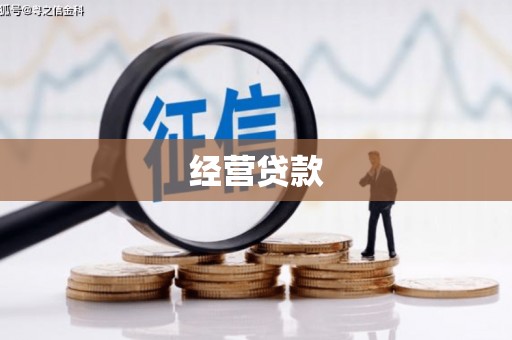 离岛经营贷款