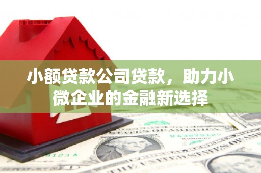 郁南小额贷款公司贷款，助力小微企业的金融新选择