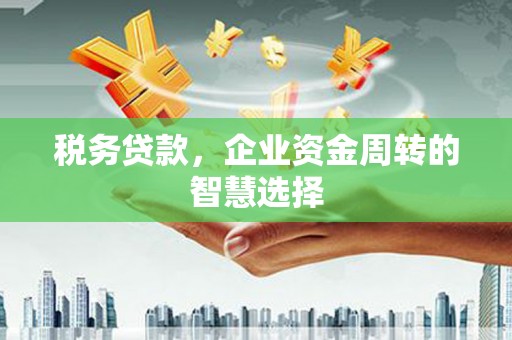 界首税务贷款，企业资金周转的智慧选择