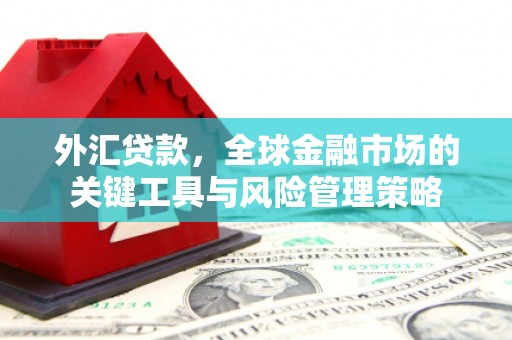 成华外汇贷款，全球金融市场的关键工具与风险管理策略