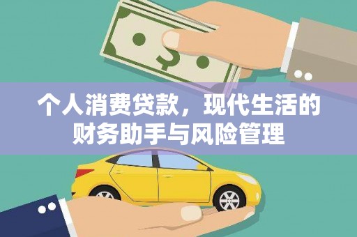昭化个人消费贷款，现代生活的财务助手与风险管理