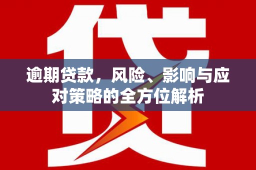 横县逾期贷款，风险、影响与应对策略的全方位解析