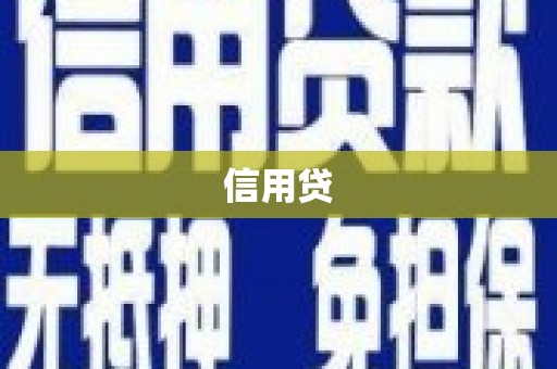 新蔡信用贷