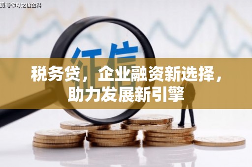 盐山税务贷，企业融资新选择，助力发展新引擎