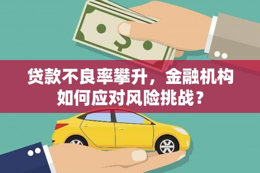 冀州贷款不良率攀升，金融机构如何应对风险挑战？