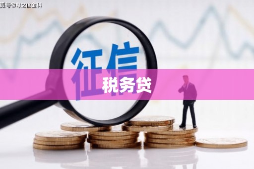 钢城税务贷