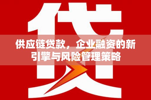 镇远供应链贷款，企业融资的新引擎与风险管理策略