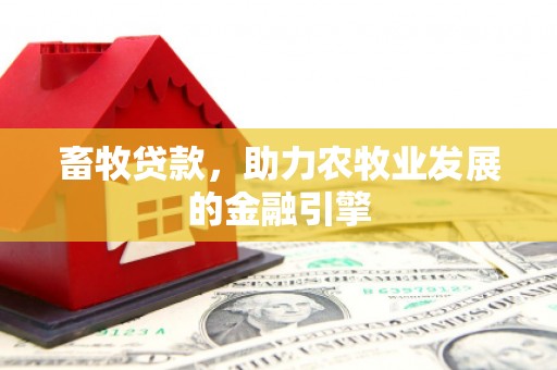 从化畜牧贷款，助力农牧业发展的金融引擎