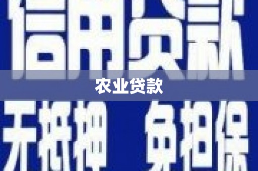 张湾农业贷款