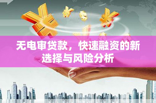 宿松无电审贷款，快速融资的新选择与风险分析