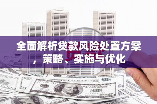 莱山全面解析贷款风险处置方案，策略、实施与优化