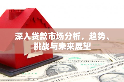 带岭深入贷款市场分析，趋势、挑战与未来展望