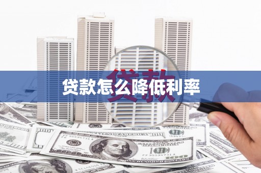 杂多贷款怎么降低利率