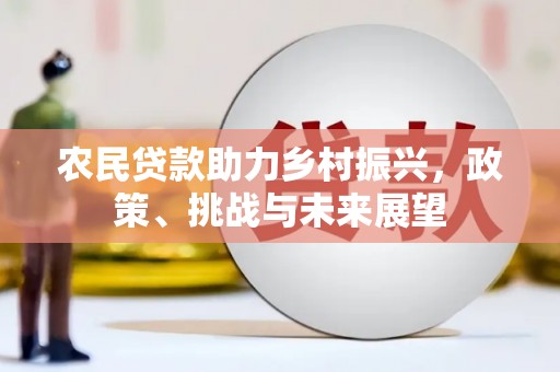凤山农民贷款助力乡村振兴，政策、挑战与未来展望