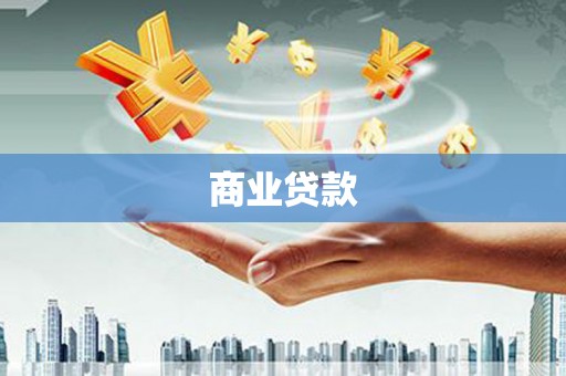 友谊商业贷款