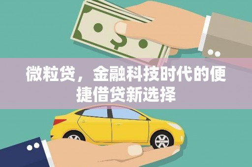 孙吴微粒贷，金融科技时代的便捷借贷新选择