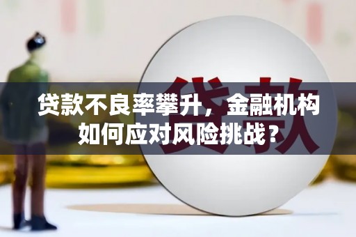 泌阳贷款不良率攀升，金融机构如何应对风险挑战？