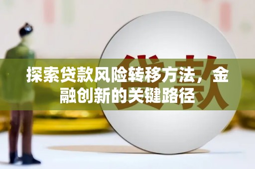 九龙城探索贷款风险转移方法，金融创新的关键路径