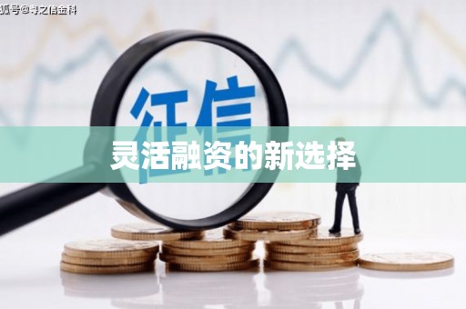 延津灵活融资的新选择